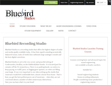 Tablet Screenshot of bluebirdstudios.ie